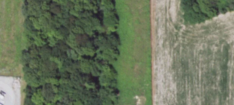 309 Woodland Rd