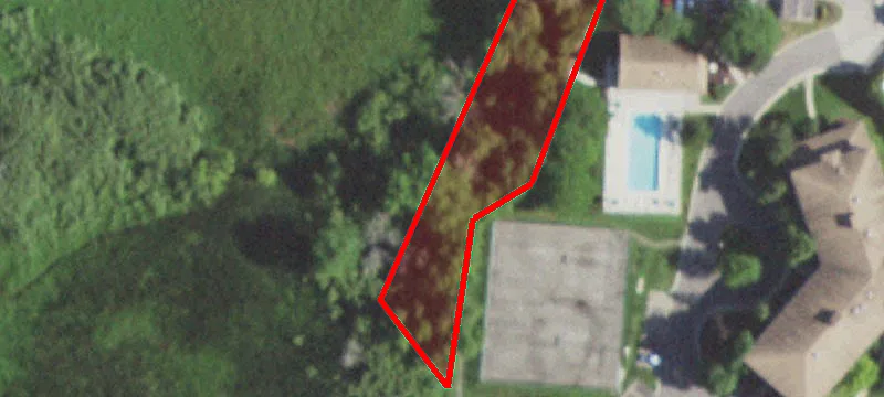 Wedgewood Dr