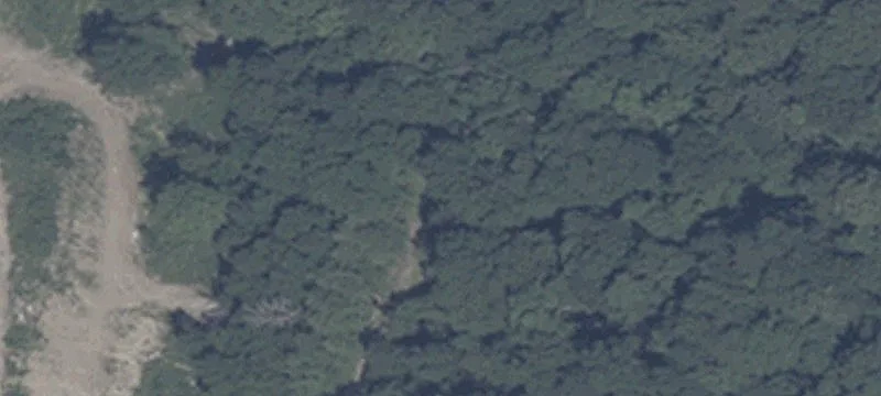 9165 Cummins Rd