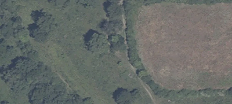State Rd 135