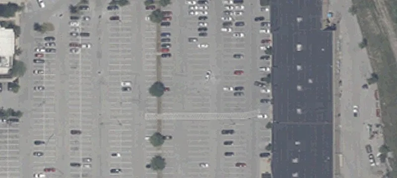 14002 Hoard Dr