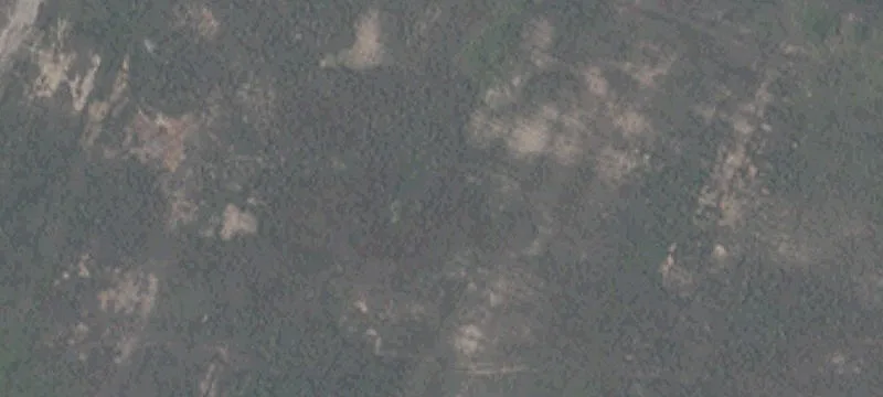 Patrol Rd