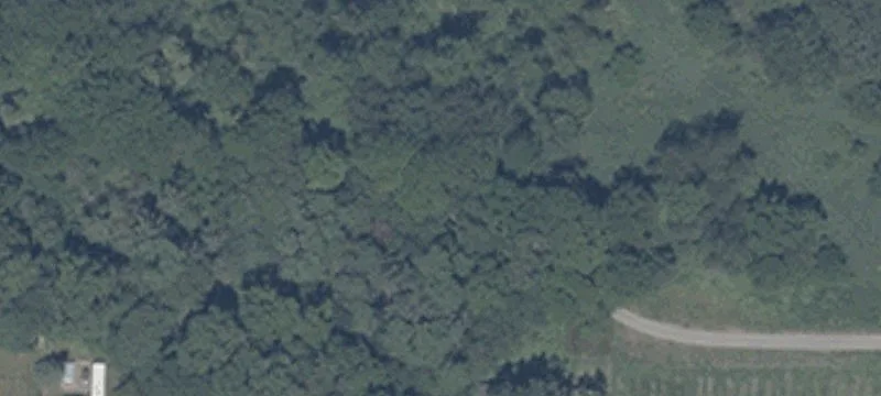 Nn Of E Shalley Dr