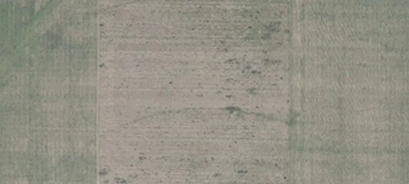 11924 State Rd 13