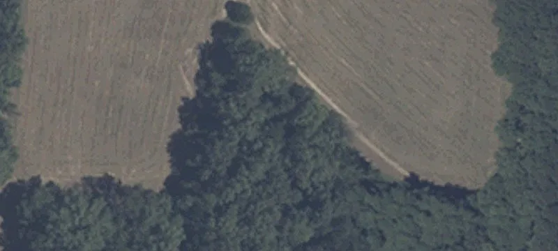 State Rd 46