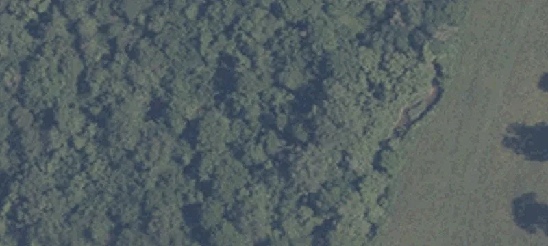 2000 State Rd 135