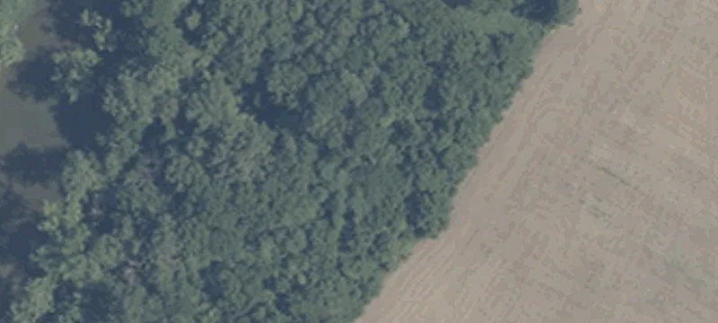 550 Ws Rd