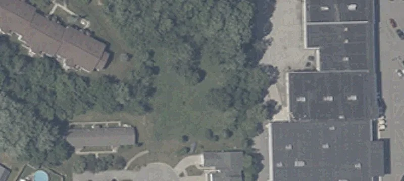 Dogwood Ct