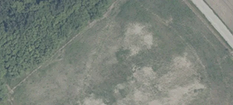 6768 State Rd 25