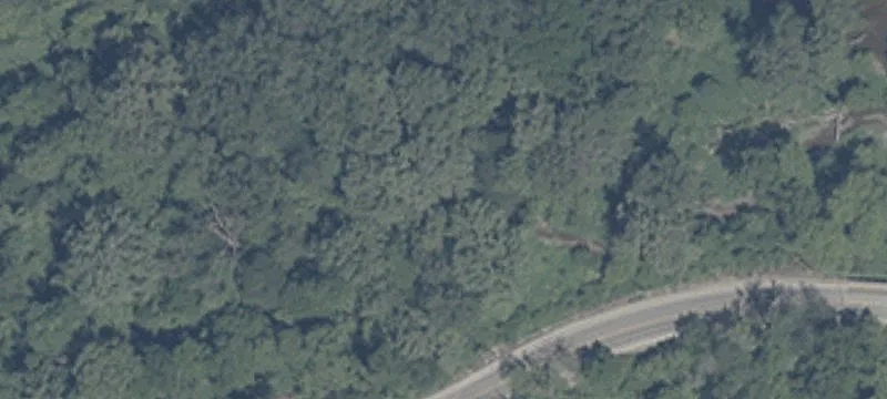 2000 Cedar Canyons Rd