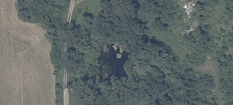 Jones Rd