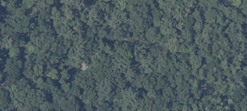 Frst Reserve