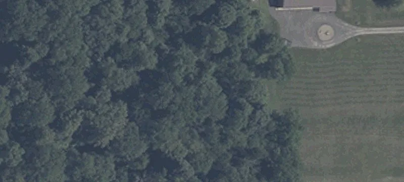 1164 Williams Rd