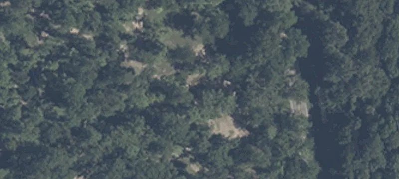 10970 Us Hwy 41