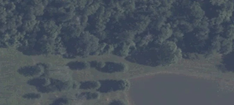 5504 State Rd 162