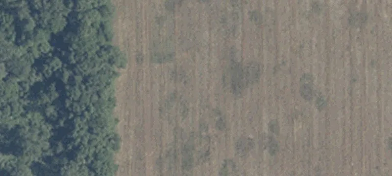 7188 State Rd 13