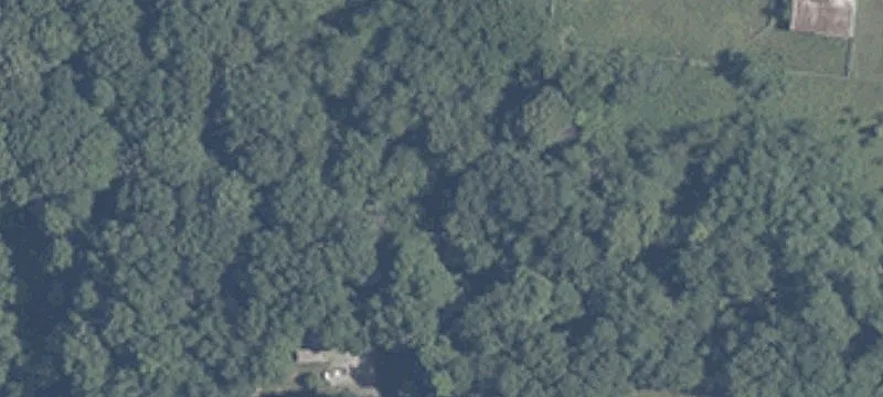 9288 Us Hwy 421