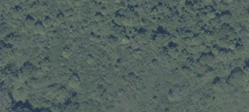 Oak Shr Dr Rd
