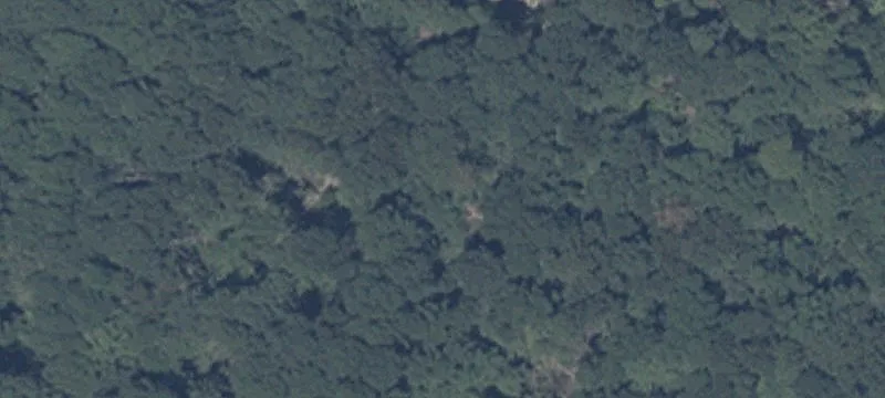 20201 Laurel Rd