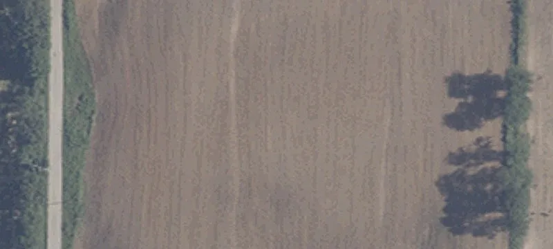 9503 950th E