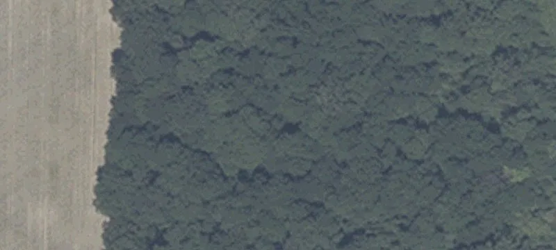 2267 125th S