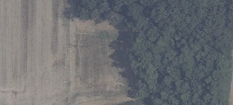 1978 Witz Rd