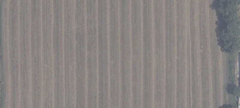 11615 925th S