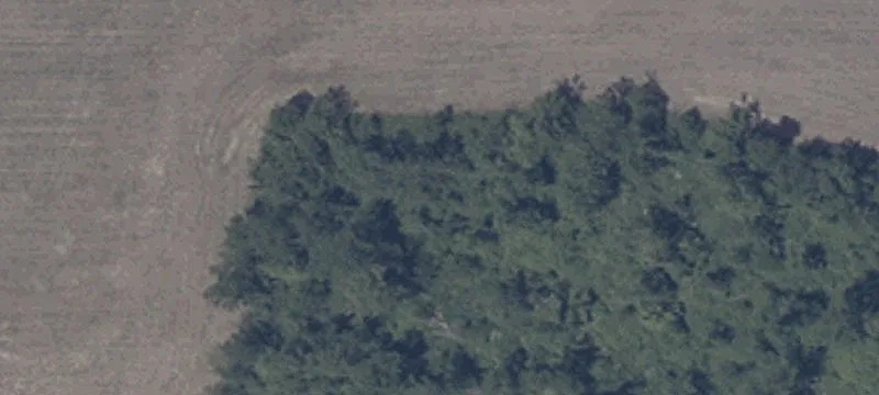1500 Us Hwy 31