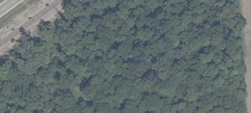 10907 600th S