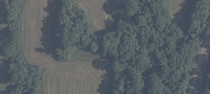 942 Miller Rd