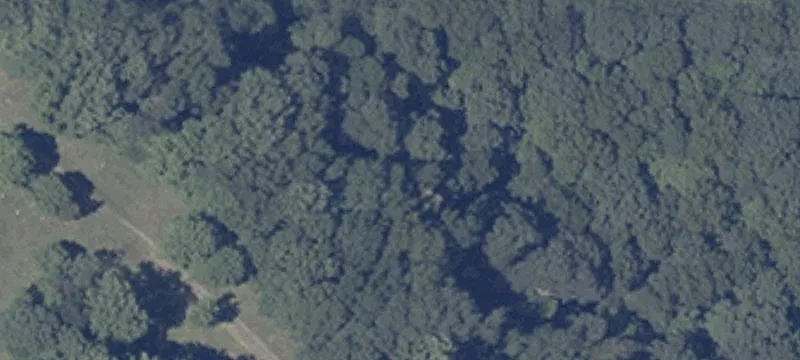 6675 Red Day Rd