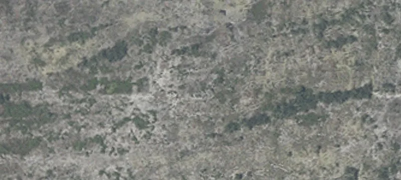 Of