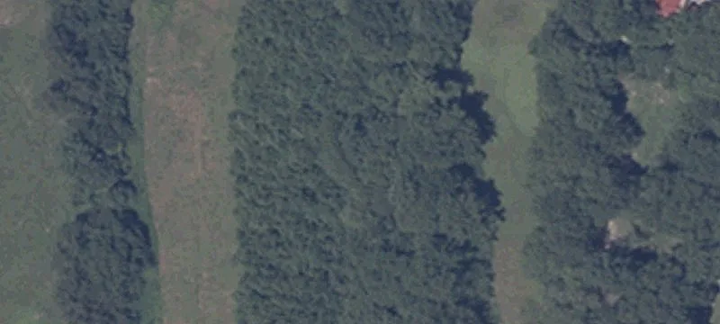 11669 State Rd 160