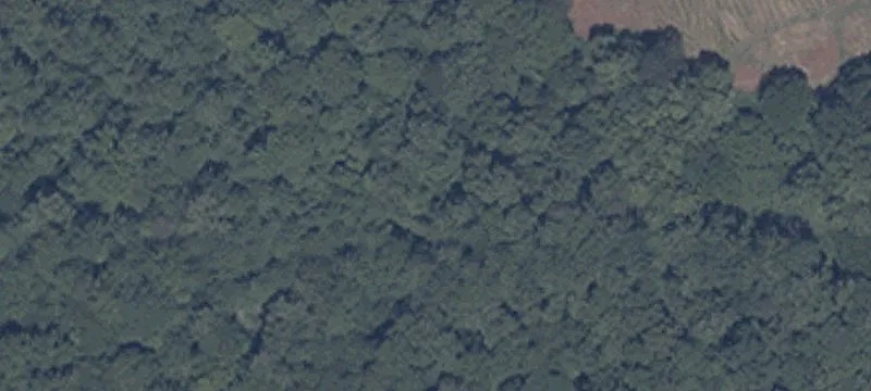16011 State Rd 60