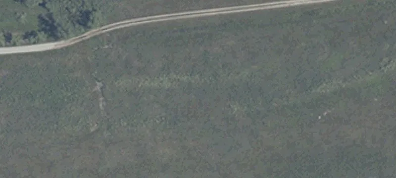 985 Us Hwy 421