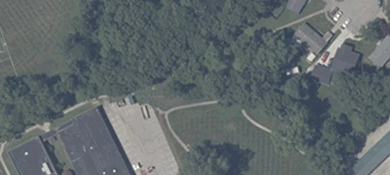 Tiger Dr