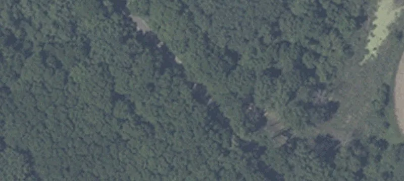 Gaston, IN 47342