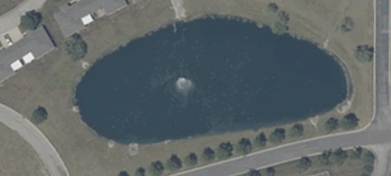 Pond