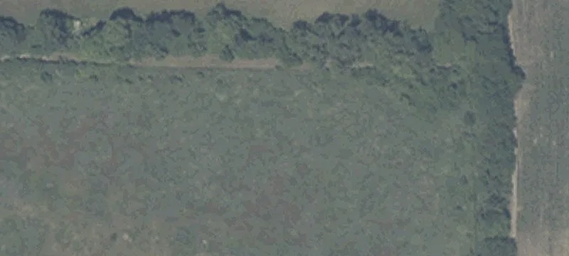 Auburn Dr