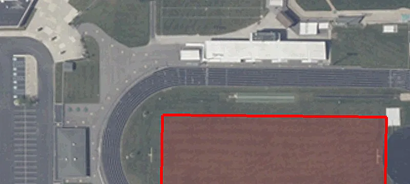Tiger Dr