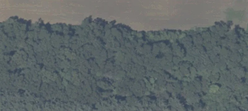 11042 State Rd 10