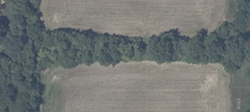 Muncie, IN 47304