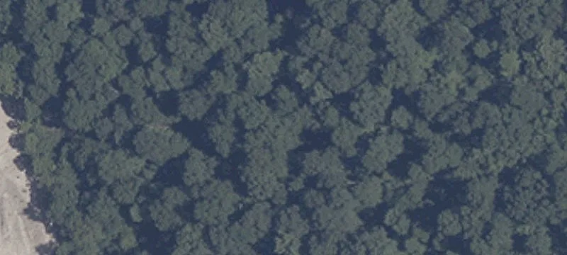 Temple Rd