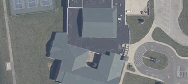 Wildcat Ln