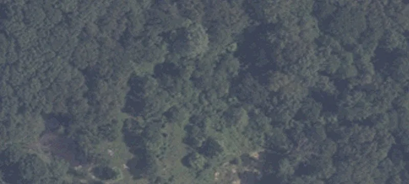 6385 State Rd 164