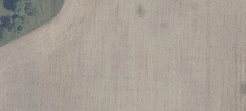 8355 200th S