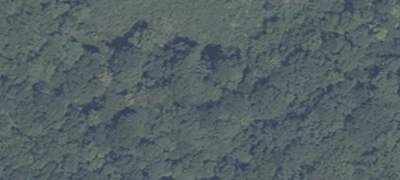 Black Cemetery Rd