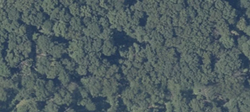 Possom Trot Rd