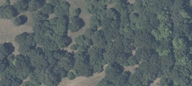 2103 State Rd 10