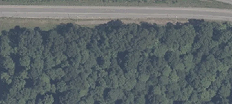 Dearborn Rd
